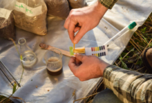 Where Can I Buy a Reliable pH Tester for Soil?