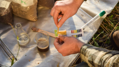 Where Can I Buy a Reliable pH Tester for Soil?