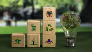 Technology and Society: Progress, Challenges, and the Path to Responsible Innovation