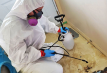 Why Hiring Trusted Mold Abatement Experts in Toronto Is Essential for Your Home