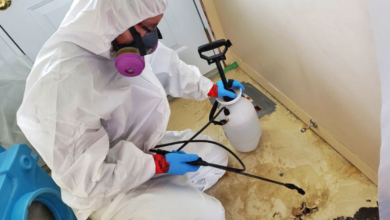 Why Hiring Trusted Mold Abatement Experts in Toronto Is Essential for Your Home