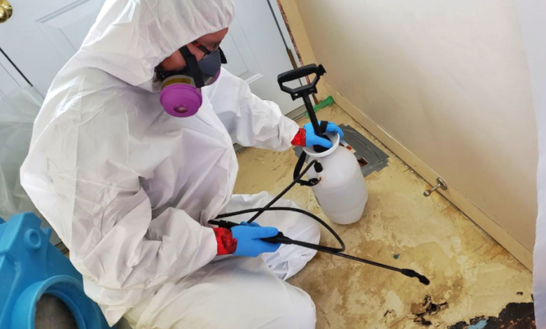 Why Hiring Trusted Mold Abatement Experts in Toronto Is Essential for Your Home