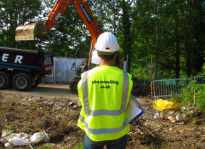 Japanese Knotweed Removal Methods: Which Is Right for Your Site?