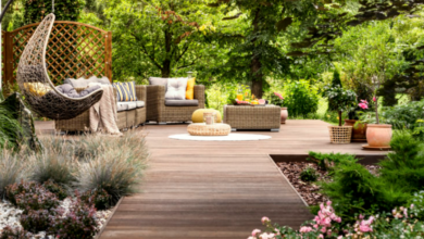 Seasonal Color Accents: Using Annuals for Pops of Color