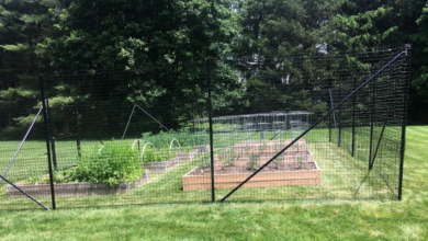 Angled Climb Protection in Deer Fencing
