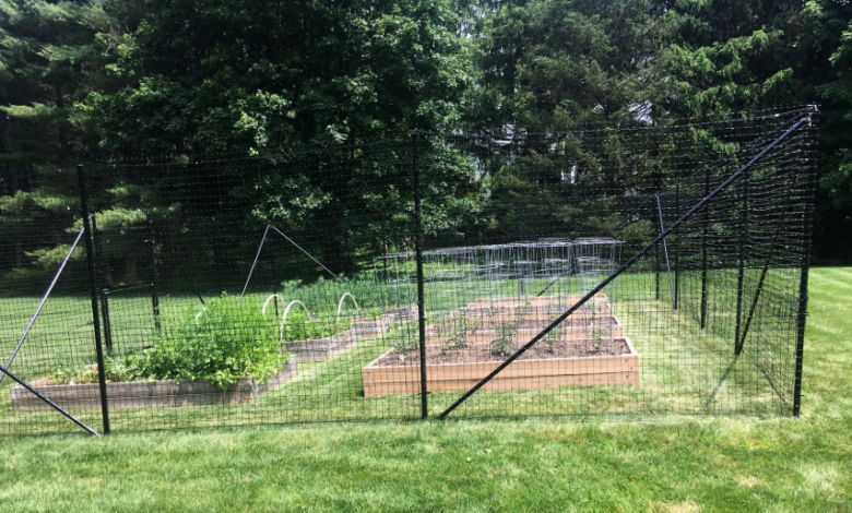 Angled Climb Protection in Deer Fencing