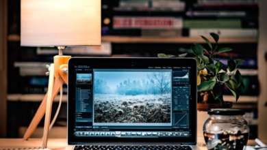 What is the Best Web Design Company in the USA?