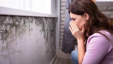 Addressing Mold Growth in Rental Properties