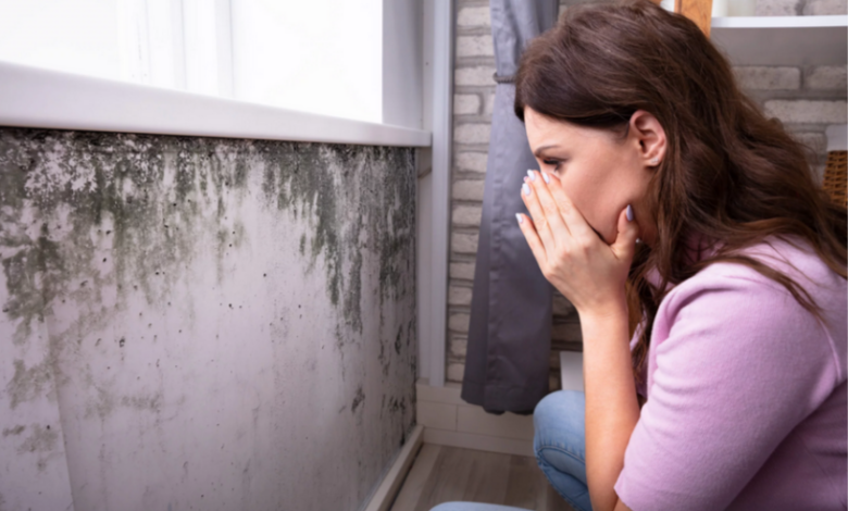 Addressing Mold Growth in Rental Properties