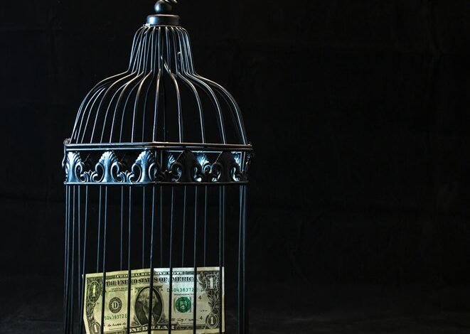 telecom risk security contacts