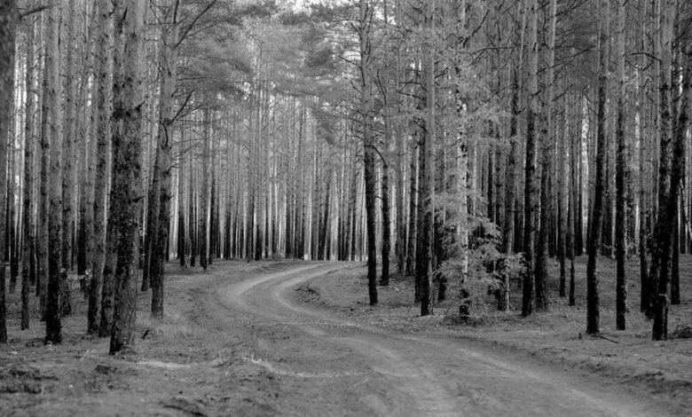 macro analytics framework overview